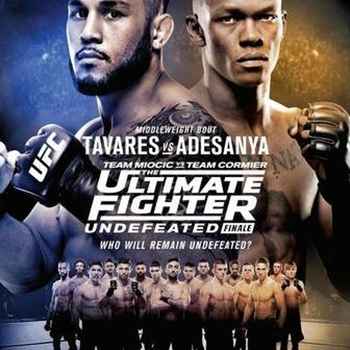 233 UFC TUF 27 Finale Tavares vs Adesany